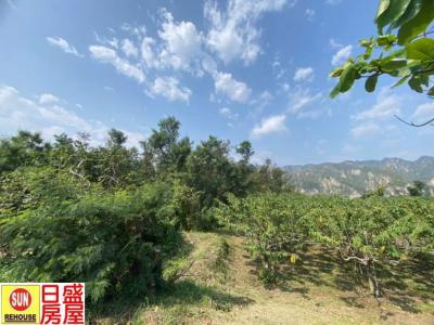 利吉農地視意圖