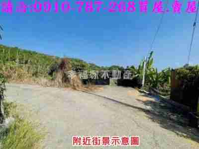 售楠西都內648果園農地農地399萬